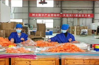 狂歡雙11 搶抓內(nèi)需爆發(fā)節(jié)點 義烏數(shù)字化產(chǎn)業(yè)帶緊急備戰(zhàn)雙11